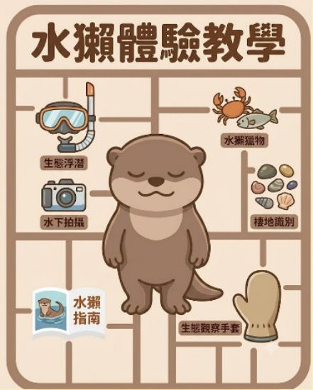 圖片 水獺體驗